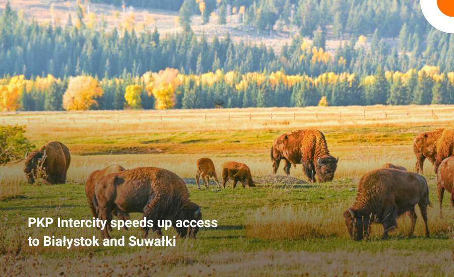 PKP Intercity cuts travel times to Podlasie. Białystok in 90 minutes, Suwałki in 3 hours 34 minutes