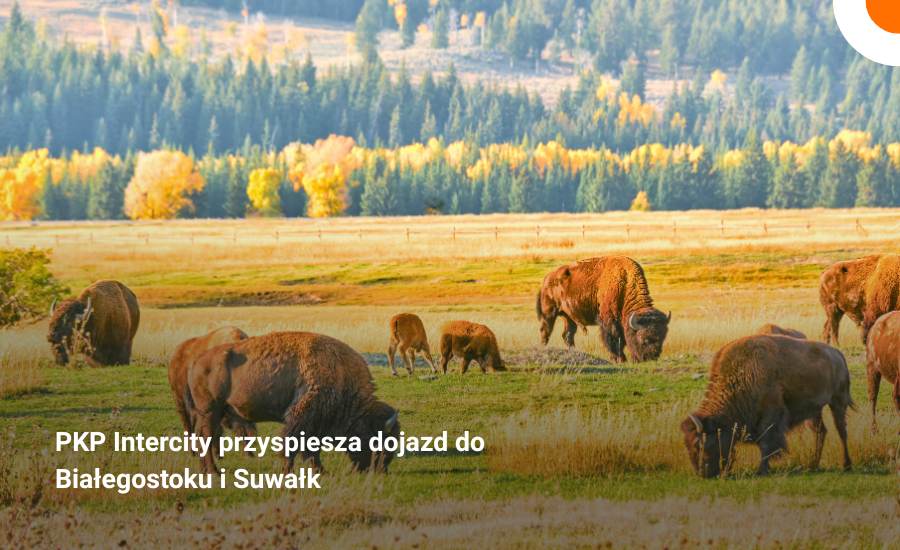 PKP Intercity skraca dojazd na Podlasie. Białystok w 1,5 godziny, Suwałki w 3 godziny i 34 minuty